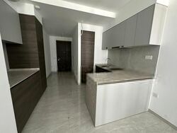 The Florence Residences (D19), Apartment #413539611